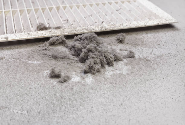 Best Professional Duct Cleaning Services  in Lake Mathews, CA